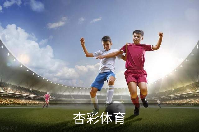 杏彩体育公司简介图